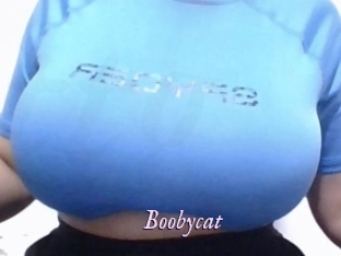 Boobycat